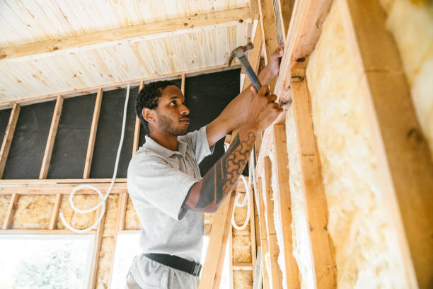 Best Insulation Inspection Services  in St Andrews, SC